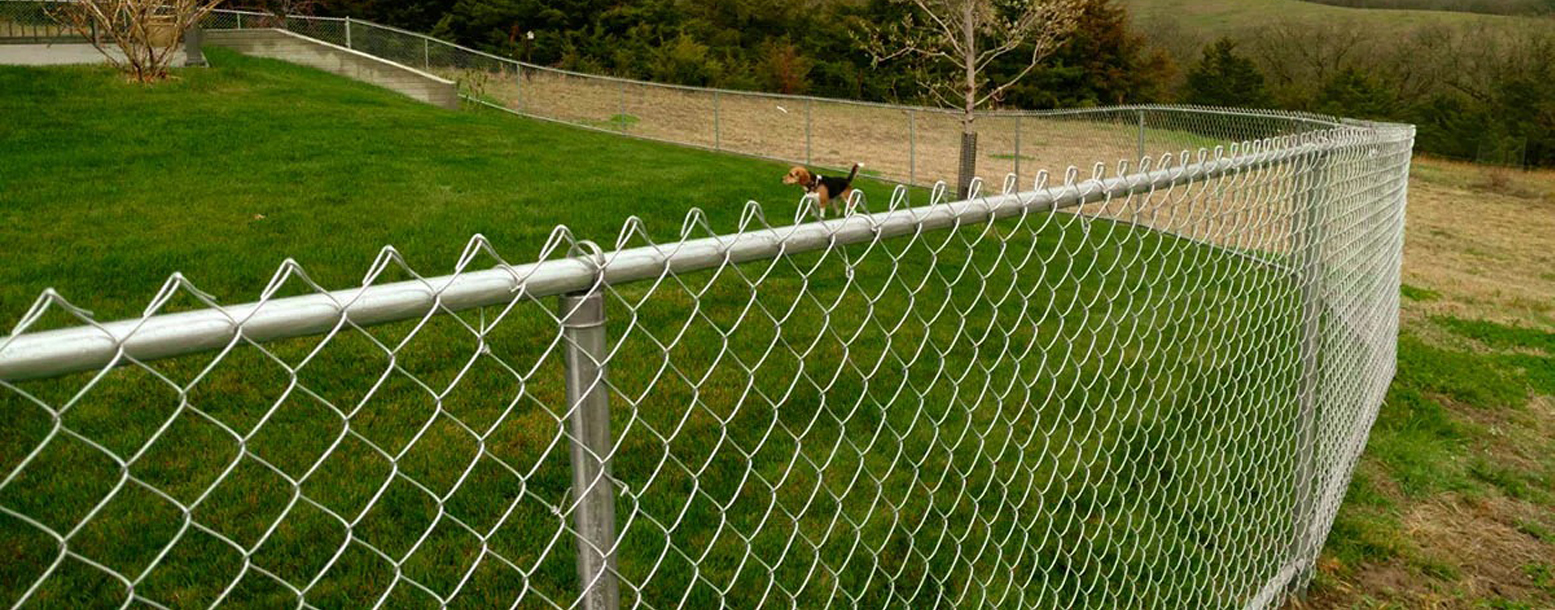 Chain Link Fence